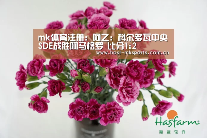 mk体育注册:阿乙: 科尔多瓦中央SDE战胜阿马格罗 比分1:2(图1) mk体育下载