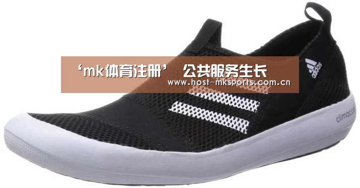 ‘mk体育注册’
公共服务生长(图1) mk体育下载